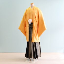 卒業式男性袴レンタル（DH0036）6号　黄|黒・金・銀/小矢羽根