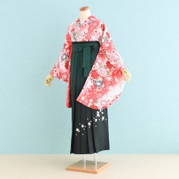 卒業袴レンタル（SF0028）LL寸　朱×白/ぼたん・桜|緑/ぼかし・刺繍・桜