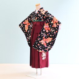 女児ジュニア袴レンタル（JG0002）12〜13歳　黒/桜|エンジ/刺繍・桜