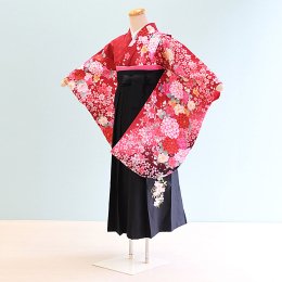女児ジュニア袴レンタル（JG-4）12〜13歳　赤/ぼたん・桜|黒/刺繍・桜