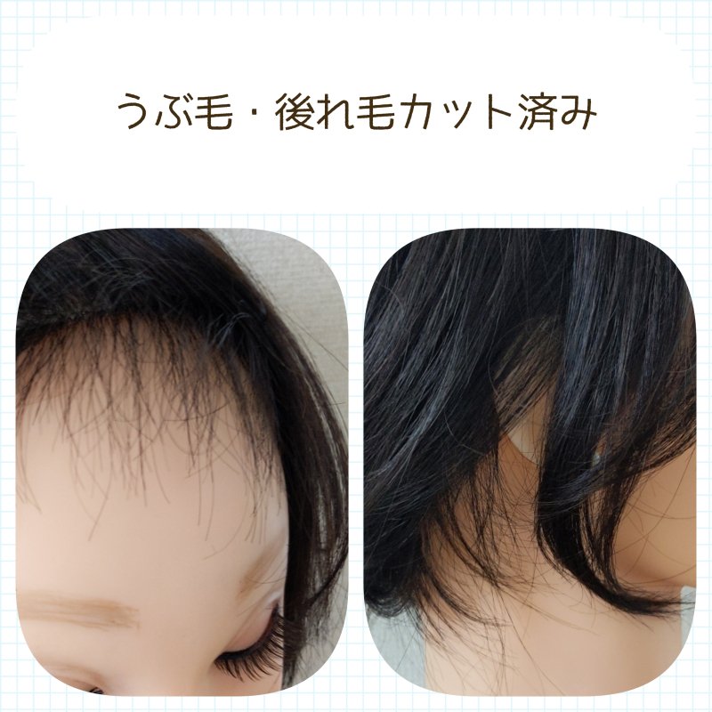 半手植え レミーヘアウイッグ》 医療用人毛100％ウィッグ ミディアム