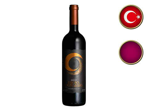 롼ա᥽ݥߥ