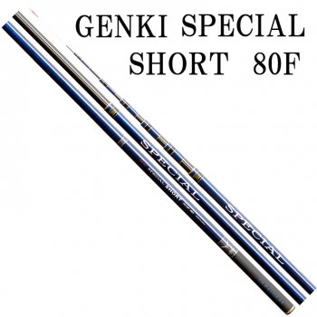 自重200g【未使用】サンテック　GENKI SPECIAL SHORT　80F