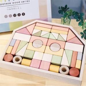 【特別セール品】 幼児教室うまれの知育玩具が人気 の (エド・インター) GENI ブロック