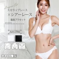 LACY WRAPޡեȡʥ֥饻åȡ