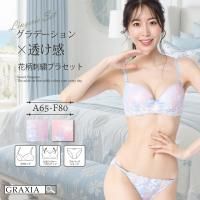 ǡ󥫥顼Ȼɽեߥ˥ʥ֥顦硼ĥåȡʥ֥饻åȡ