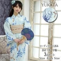 みずあさぎに金色トンボの浴衣3点セット(YUKATA)
