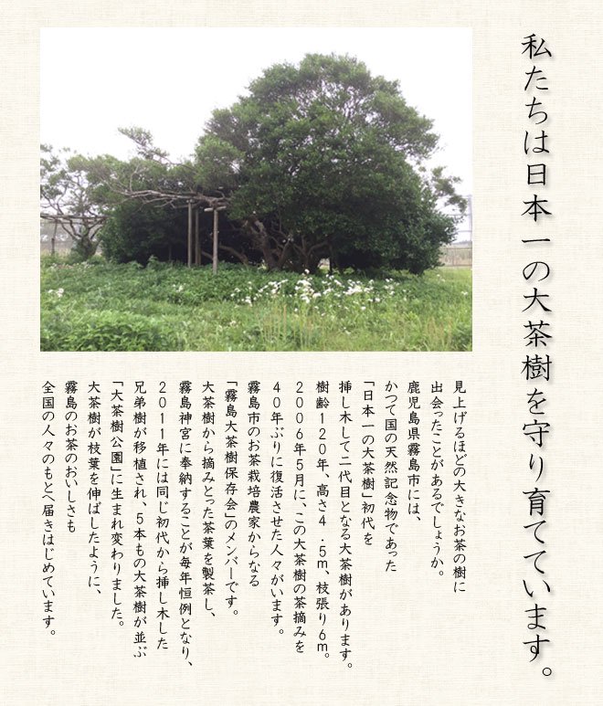 page_okukiri3.jpg
