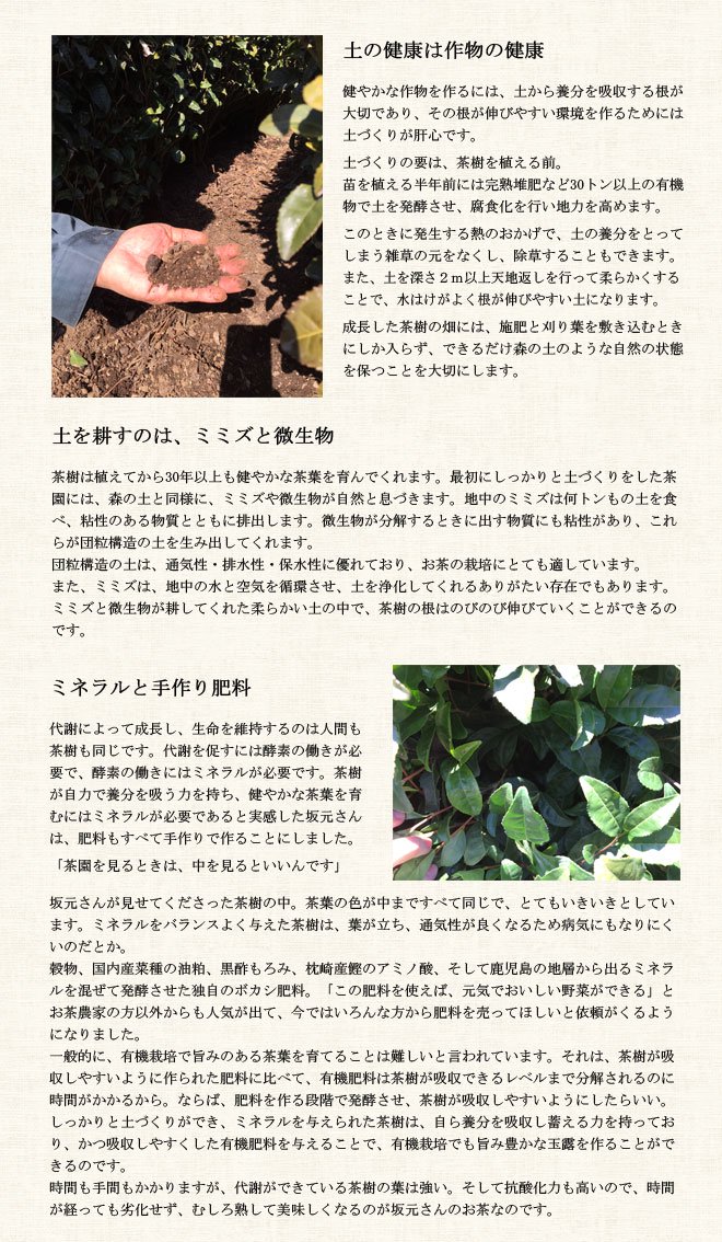 page_sakamotogyokuro2.jpg
