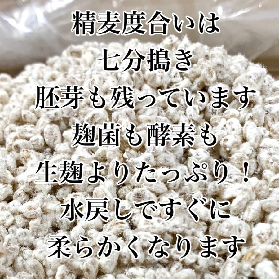 乾燥麦麹 1kg ( 10kg以上からのご注文）長崎・佐賀県産丸麦使用