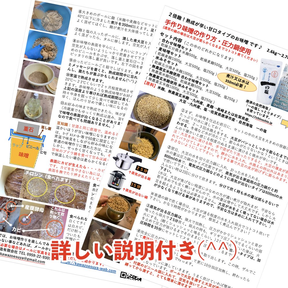味噌作りセット 無農薬玄米味噌2.6～2.7kg 【配達日時指定不可】（乾燥