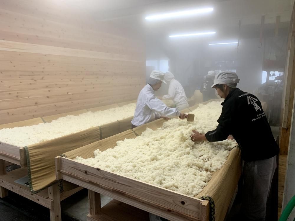 ☆味噌作りセット 無農薬玄米味噌2.6～2.7kg 仕込み袋付き【配達