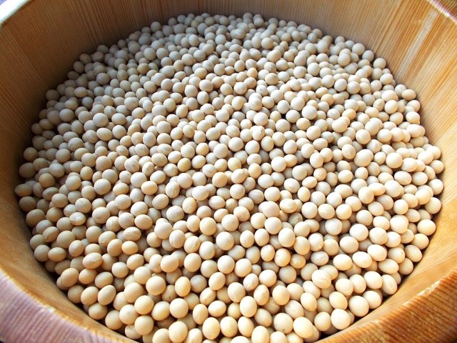 佐々長醸造 原料 大豆：ナンブシロメ 小麦：ナンブコムギ