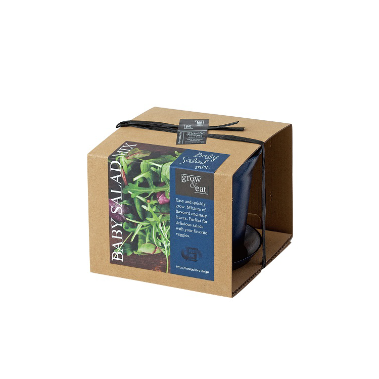 Grow Eat 栽培セットの通信販売 ネットショップ 観葉植物 多肉植物 塊根植物の通販 ネットショップの The Farm Universal Online Store Grow Eat 栽培セットの通信販売 ネットショップ 観葉植物 多肉植物 塊根植物の通販 ネットショップの The Farm Universal Online Store