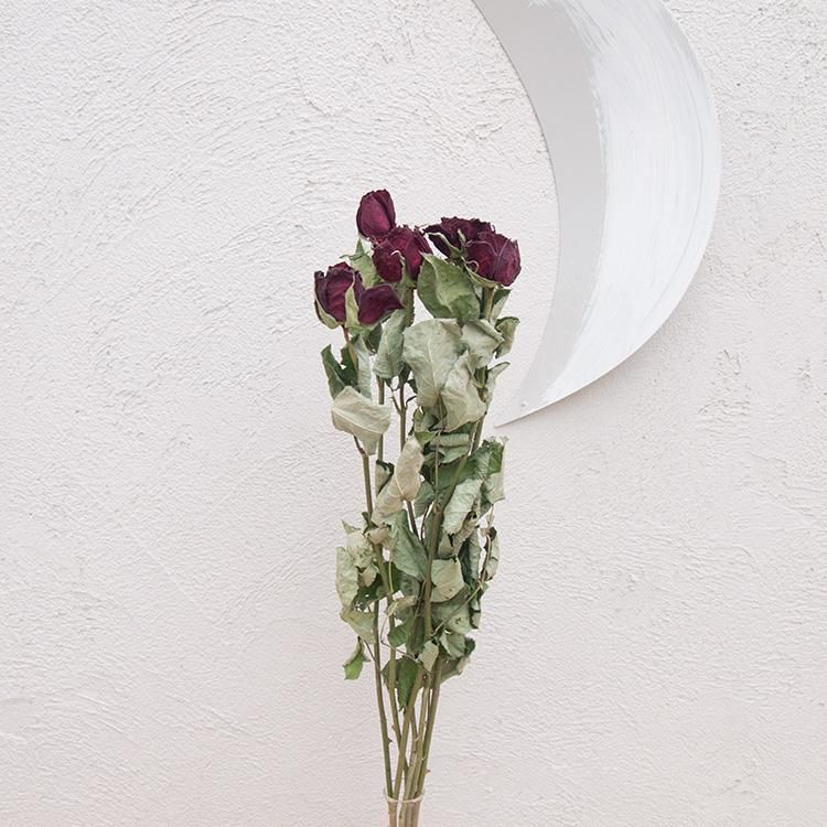Color Glazed Potの通信販売 ネットショップ 観葉植物 多肉植物 塊根植物の通販 ネットショップの The Farm Universal Online Store Color Glazed Potの通信販売 ネットショップ 観葉植物 多肉植物 塊根植物の通販 ネットショップの The Farm Universal Online Store