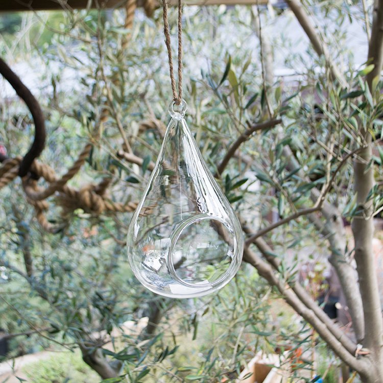 ハンギングガラスボール ドロップ（底丸） M - 観葉植物・多肉植物