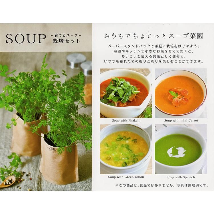 ちょこっと野菜作りキットの通信販売 ネットショップ 観葉植物 多肉植物 塊根植物の通販 ネットショップの The Farm Universal Online Store