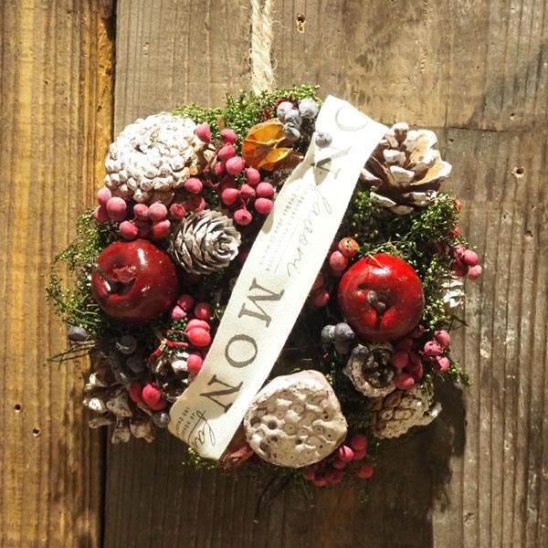 クリスマスリースの通信販売 ネットショップ 観葉植物 多肉植物 塊根植物の通販 ネットショップの The Farm Universal Online Store クリスマスリースの通信販売 ネットショップ 観葉植物 多肉植物 塊根植物の通販 ネットショップの The Farm Universal Online Store