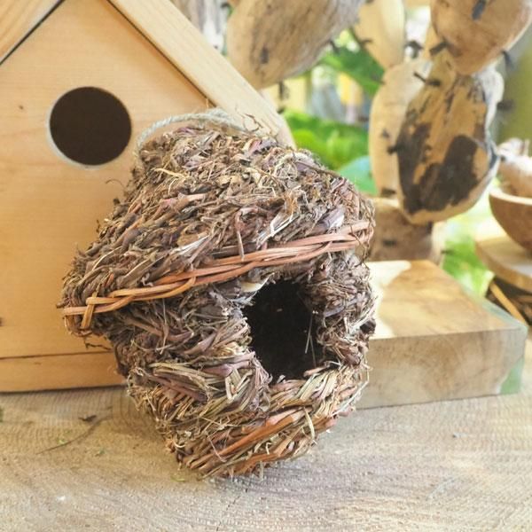 観葉植物 多肉植物 塊根植物の通販 ネットショップの The Farm Universal Online Store 観葉植物 多肉植物 塊根植物の通販 ネットショップの The Farm Universal Online Store