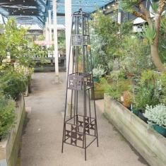 アウトレット 観葉植物 多肉植物 塊根植物の通販 ネットショップ The Farm Universal Online Store アウトレット 観葉植物 多肉植物 塊根植物の通販 ネットショップ The Farm Universal Online Store