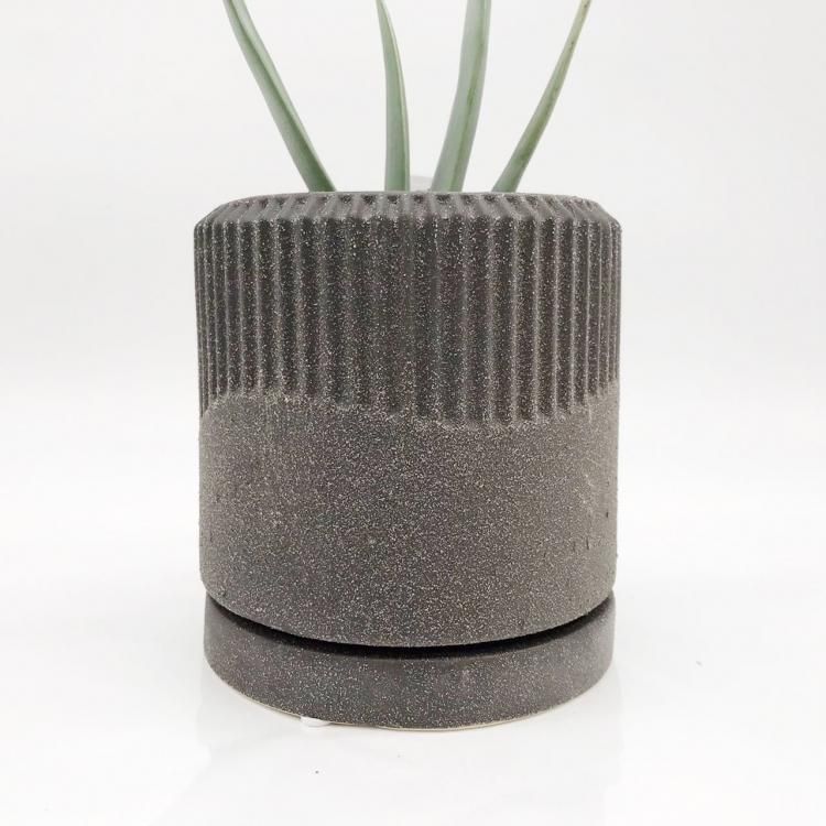 アロエ プリカティリスの通信販売 ネットショップ 観葉植物 多肉植物 塊根植物の通販 ネットショップの The Farm Universal Online Store アロエ プリカティリスの通信販売 ネットショップ 観葉植物 多肉植物 塊根植物の通販 ネットショップの The Farm Universal Online Store