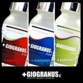 ѡѡѤ3Ĥθ̡Giogranus (̥)ĥå