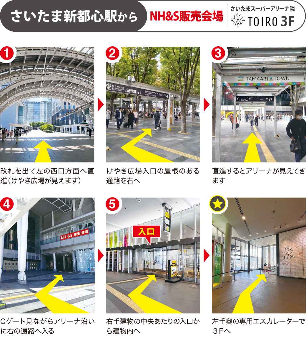 アリーナ地図