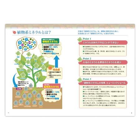 ミネラル ハンドブック 入門編 大地からの贈り物 植物系ミネラル ナチュラルハーモニー サイエンス エッセンシャルオイル用品 アロマ用品 や書籍を販売