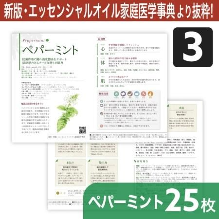 ʲ4
