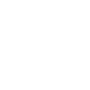 ȡ󥸥㡼-Torch Ginger 