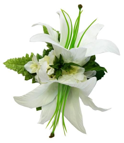 Torch Ginger トーチジンジャーTUTUVI