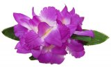 パープル（紫） ニューオーキッドクリップ　ラベンダー