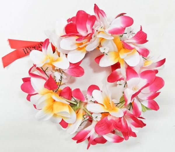 トーチジンジャー Torch Ginger トーチジンジャー Torch Ginger
