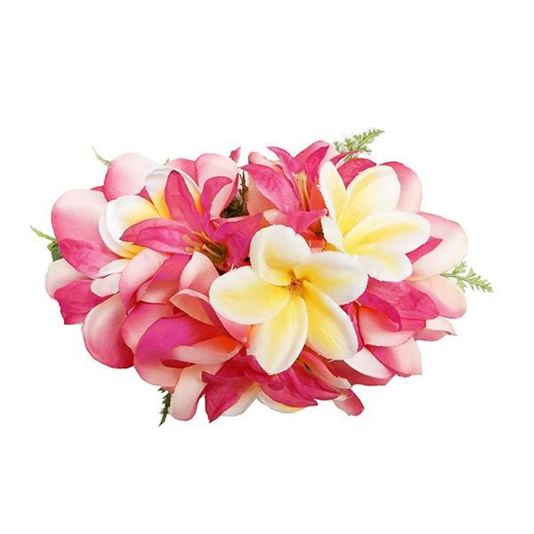 トーチジンジャー Torch Ginger フラダンス トーチジンジャー Torch Ginger フラダンス