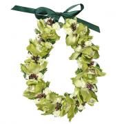   쥤 KCL-007NEW ӥ塼쥤 ꡼