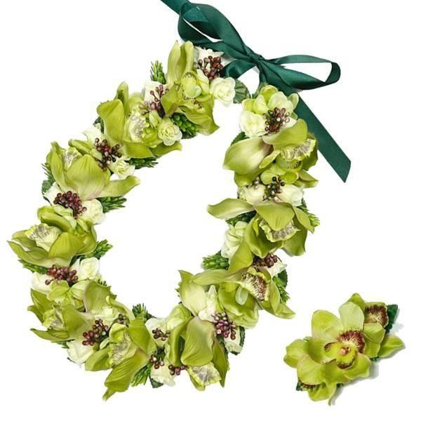 KCLS-007NEW ����ӥ��塼��쥤&����å�(���꡼��)���å�