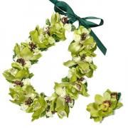 åȡʥ쥤+إåɥХɡ쥤+إåetc.) KCLS-007NEW ӥ塼쥤&å(꡼)å