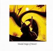  ̵ۡڴܡۡں߸˸¤ۡMusical Images of Hawaii١Ļͺ륫顼ŵ