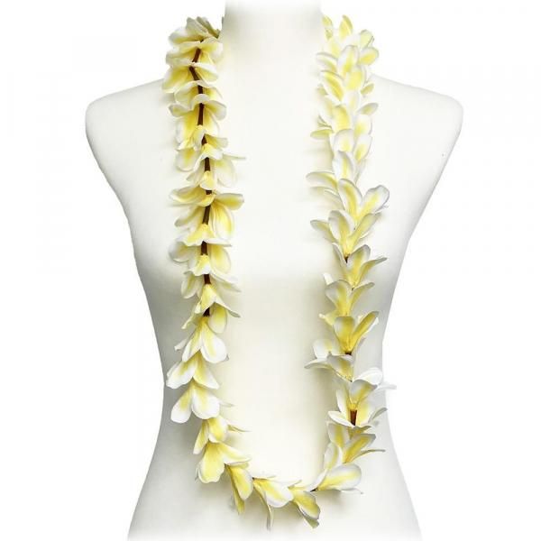 フラダンス ｜用品｜色分け - Torch Ginger トーチジンジャー