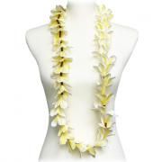 ץꥢե󥸥ѥ˥쥤122?ۥ磻ȥ