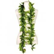 ꡼С ˥塼ޥ쥪ץ쥤3ݥȥ꡼)