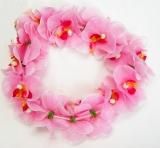  եΥץåɥ饹إåɥХɡԥ