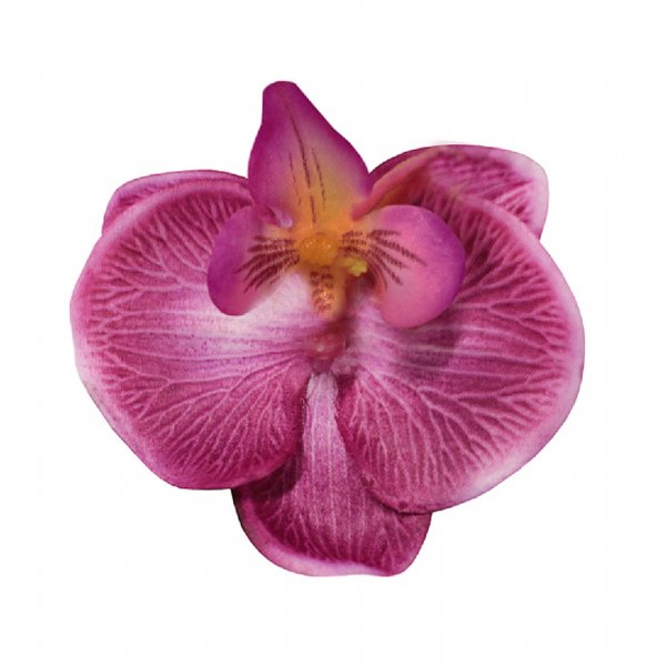 CollectifSingle Orchid Hair Clip Fuschia