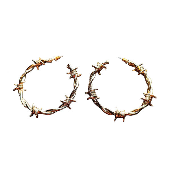 VALLERY'S SELECTBarbed Wire Hoop Earrings  ͭŴԥ 5cm 