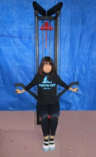 ～デビルウイング、翼を授ける～　デビルウイング・マシン(左右独立タイプ)　黒黒 155719766_o2.jpg?