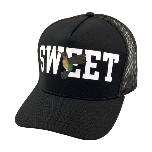 drew house sweet trucker hat
