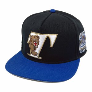 TWNTY TWO (トゥエンティ—・トゥー) / T GRIZZLY'S SNAPBACK CAP / BLACK × BLUE