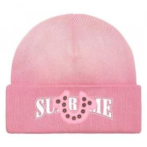 SUPREME  TRU RELIGION&#174; / TRU RELIGION&#174; BEANIE