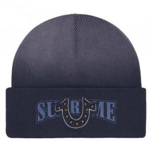 SUPREME  TRU RELIGION&#174; / TRU RELIGION&#174; BEANIE