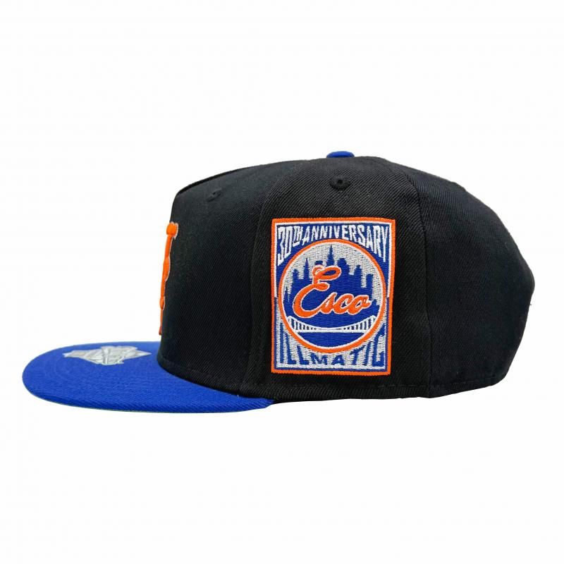 TWNTY TWO / ESCO KING OF NY 30th SNAPBACK CAP - GANGSTA MARKET